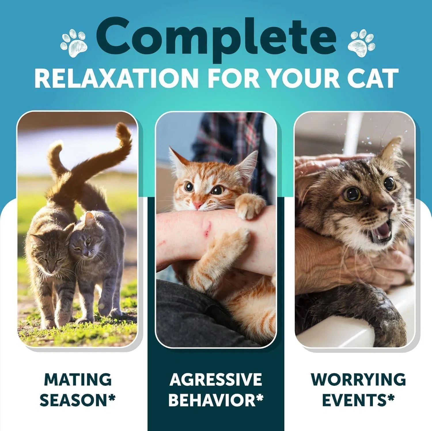 Do Not Sell On Amazon Hemp Cat Calming Treats For Stress & Anxiety Relief Cat Kittens Melatonin