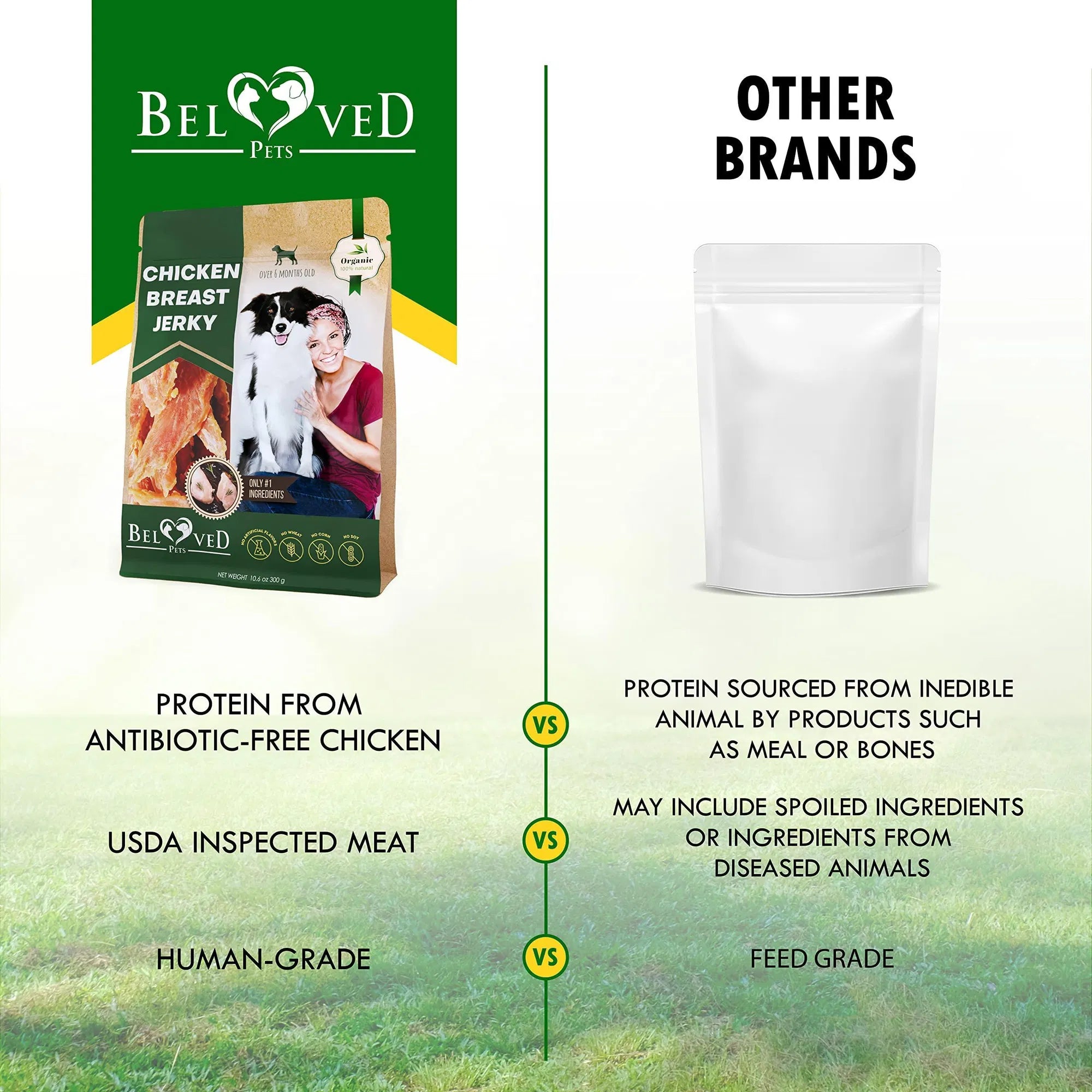 Chicken Jerky Dog Treats All Natural And Organic Healthy Snacks For Large & Small Dogs Grain Free And High Protein Human Grade Pet Chews 300 Gram